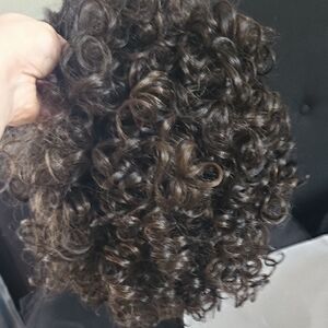 Raquel Welch Signature Collection Brown Curly Wig